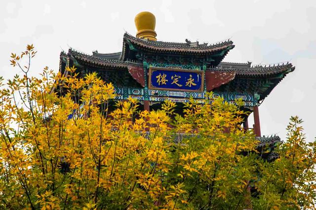 京城拍客今日精选｜十月风光好 秋染永定楼