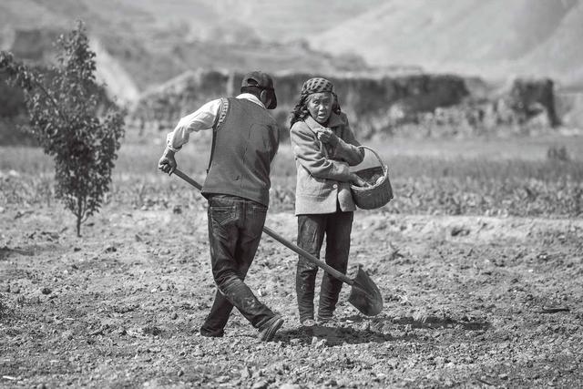 西海固：汗土上的新生