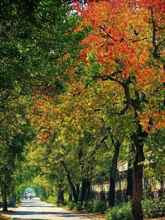 封神级美景！初冬的桂林，宛如上帝打翻的调色盘