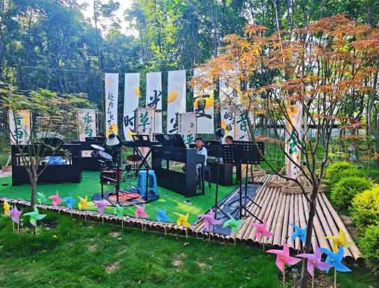 乡村竟藏这么多宝藏地！远景村邀您共赴冬日乡村盛宴｜在宝山过大年