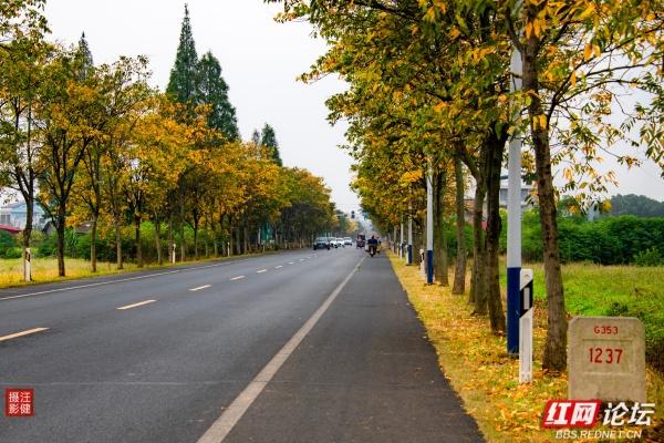 别追景点了！安乡这两个村，全是乡村最接地气的鲜活