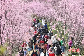 春日山城花烂漫 游人如织赏春光图片