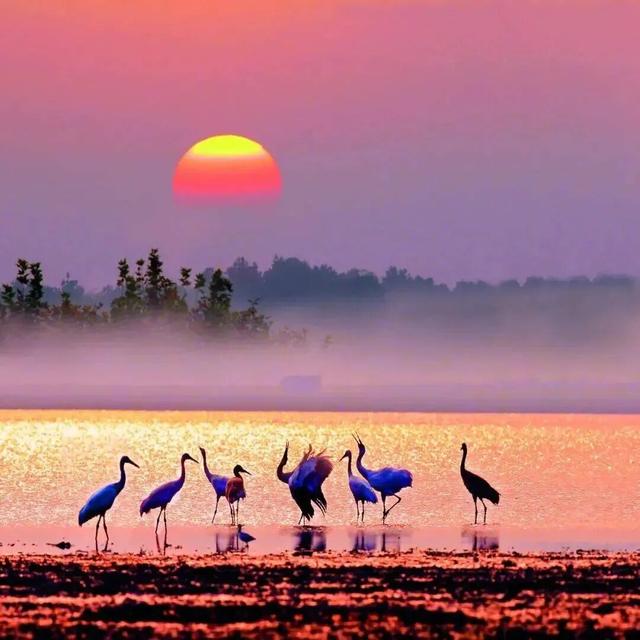 在江西，拾得江南的半阙秋声