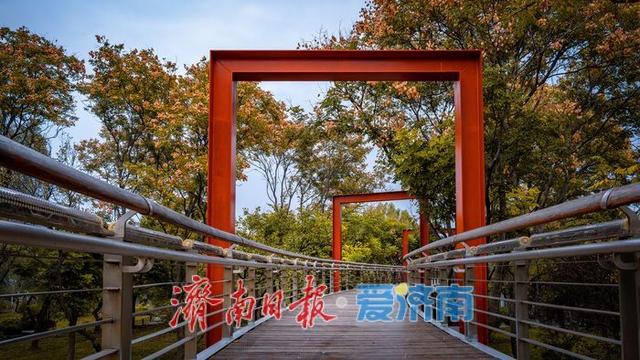 一年四季 泉在济南丨济南泉城公园：秋日胜景如画，市民尽享自然之美