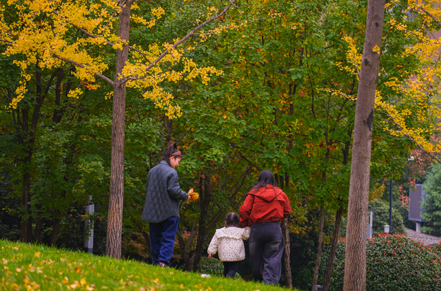 秋风引路入曲江，芙蓉金叶映红墙