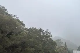 刚抵达厦门！实在太大了！已发布预警！停航通知！接下来……图片