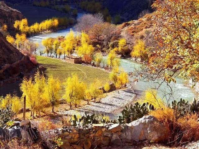 美上央视的秋景，这十条路线请你选！