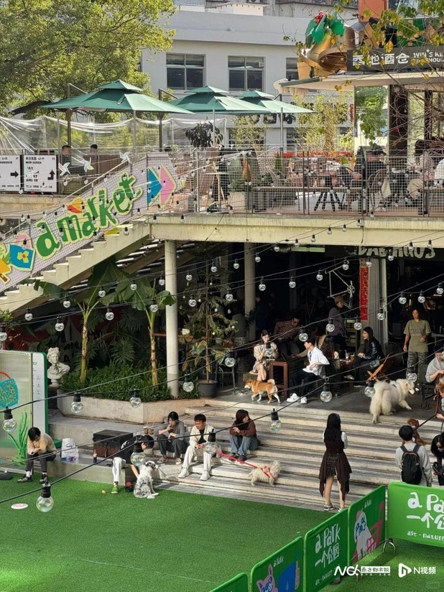 科技创新与人文关怀交织，梅林剑指“全球产业生态样本区”