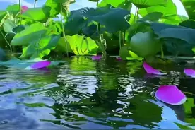 不经一事，不懂一人图片
