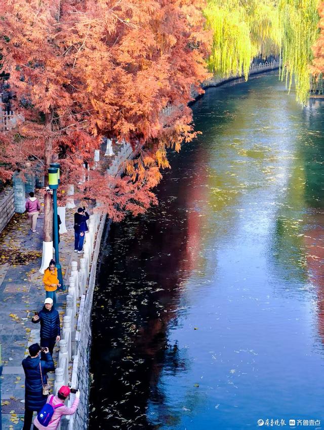 济南青龙桥护城河畔，美景随手拈来
