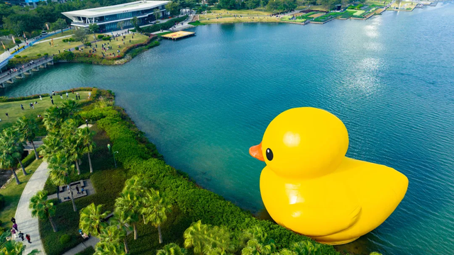 深圳唯一！入选全国案例！
