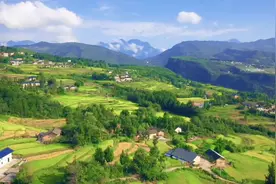 【短视频】巴东：“生态农场”稻飘香 富硒水稻收割忙图片