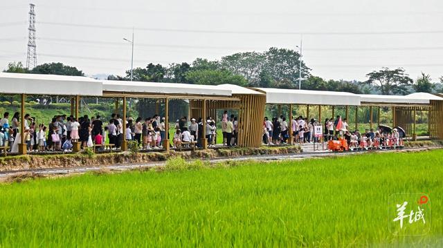 入园人数三倍增长！佛山三水云东海广府鸟类博物馆·萌宠乐园开园首……