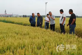 青岛即墨区农技推广员测土配方施肥 助农民提效增收图片