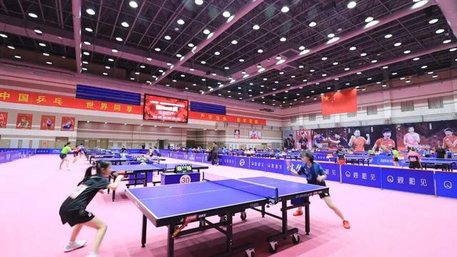 乘着高铁冬游南海 解锁宝藏旅居目的地