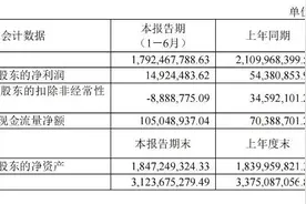 ​零食第一股掉队，来伊份上半年营收利润双降，关店213家图片