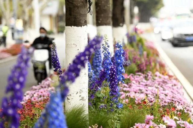 清凉旅居、火把节狂欢……这个夏天，就来云南避暑，美美吃菌~