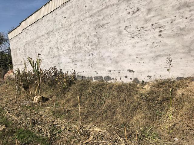 “一家五口被邻居杀害案”被告人提起上诉 死者家属：他案发前两个月就买好了剔骨刀