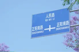 美好生活在云南｜一眼就心动！保山蓝花楹梦幻盛放图片