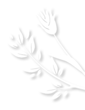 初冬的风里竟有了粉色的“味道”！就在龙潭公园里~