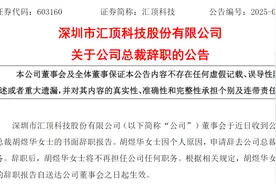 知名芯片公司女总裁因个人原因辞职，年薪超800万元！公司重要并购刚刚终止，股价连续下跌图片