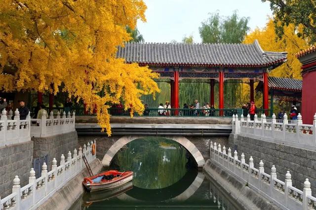 北京赏秋“绝配”来了！