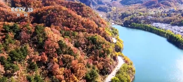 “斑斓秋色+新潮玩法”点燃赏秋游新热力 文旅新消费活力十足