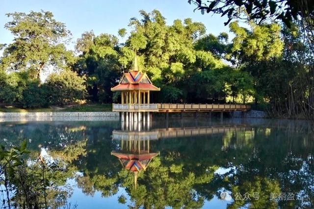 勒勐村：百年榕影里的傣乡烟火