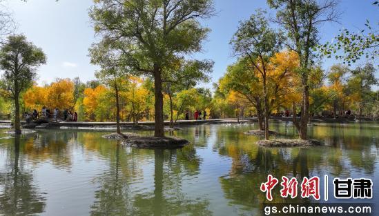 甘肃金塔：胡杨林美景醉游人