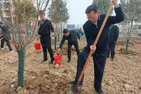 淮南市潘集区：开展义务植树 共建美好家园图片