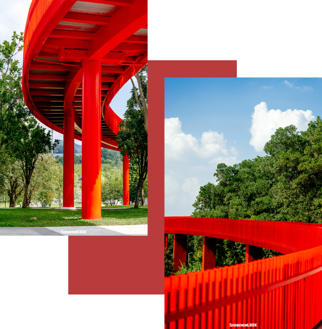 深圳环境五星的「网红公园」，不能再低调了