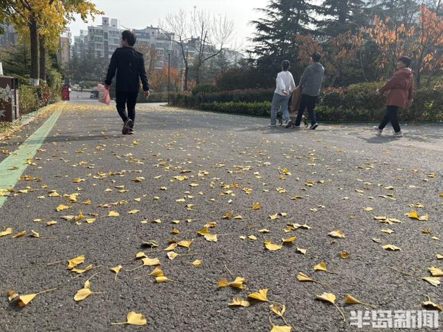 浮山南麓，藏着青岛最美冬日
