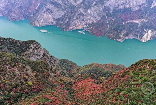 大地“披浓妆” 巫峡红叶进入最佳观赏期