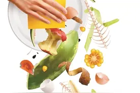 这些厨余垃圾大有药用图片