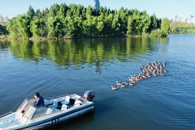 省厅点名推荐！南充这些耍法藏不住了，不来真说不过去