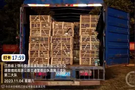 爱心人士从江苏追到江西拦截运猫车：截获千余只，有家猫图片