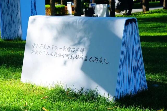 不止躺平！东胜区这处草坪的N种打开方式→