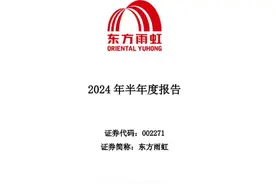 东方雨虹上半年营收净利双降，渠道销售成为主要销售模式图片