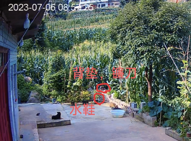 贵州农妇遇害案再审：“被动坦白” 能否作为轻判依据？