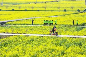 清明假期，咸宁哪些出游方式最火爆？图片