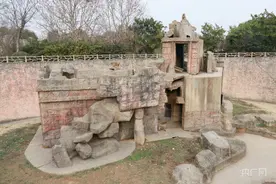 猫猴共处？南昌动物园：流浪猫偷食图片