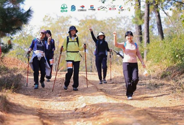 一场跨越汤山的 “自然奔赴”→