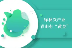 绿林兴产业  青山有“黄金”图片