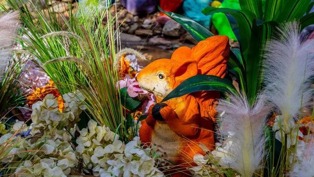 免门票福利！白云山绝美秋色正在上映→