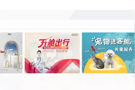 能进客舱却不能进候机室 “宠物进客舱”服务缘何和城市养犬管理条例相抵触？丨封面深镜图片