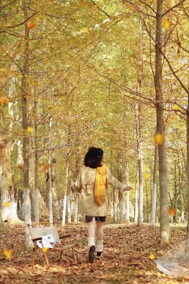 合肥的秋天，不基础