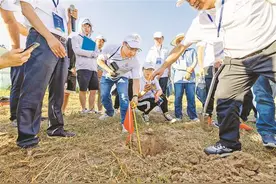 重庆土壤“三普”：时隔40年 全面做“体检”图片
