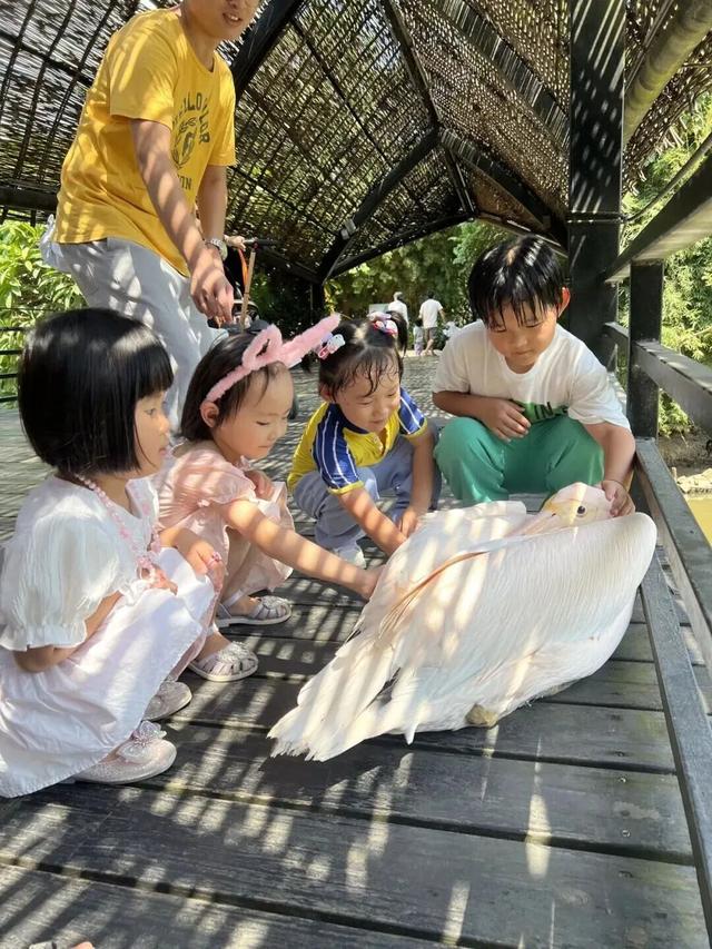 来南沙看五月天！看海、骑行……100+网红打卡点合集→