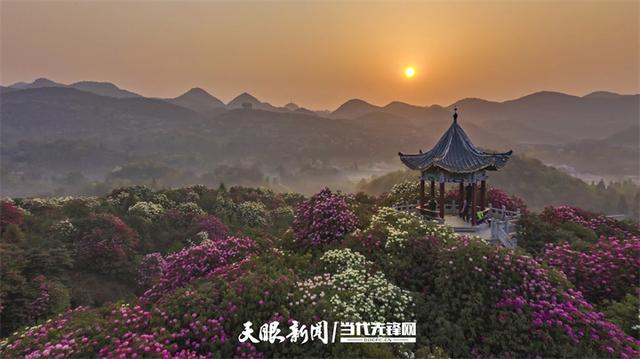 村意盎然的中国：浪漫杜鹃等你赴约