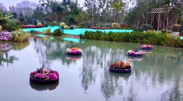 走进新洲的花园，生活充满“小确幸”~